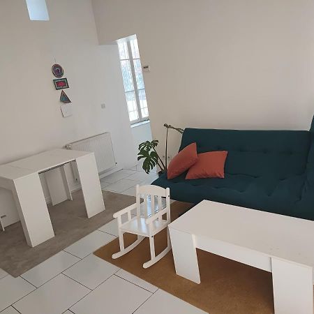 Appartement Chateau Des Montees Orléans Esterno foto